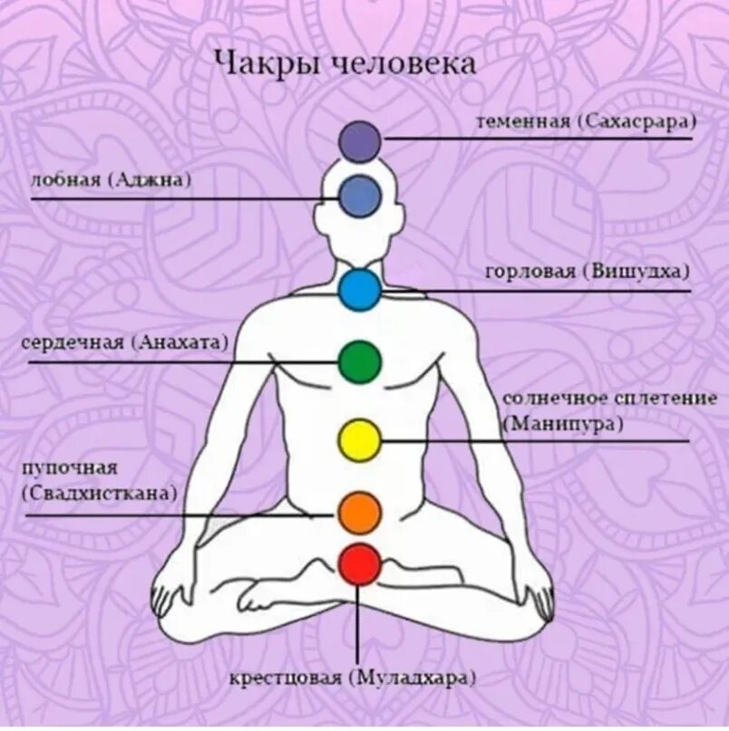 Сахасрара чакры 1-7. Чакры Аджна и Сахасрара. Муладхара Свадхистана Манипура Анахата Вишудха Аджна Сахасрара. Чакры Свадхистана Анахата Аджна. Чакры названия и расположение