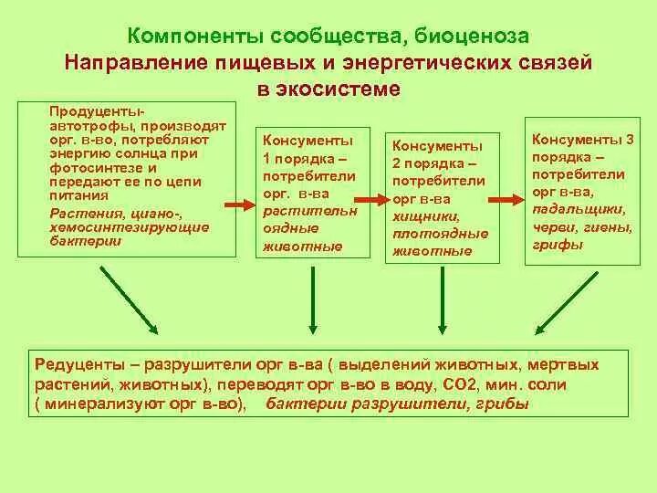 Презентация пищевые связи в экосистеме 11 класс. Взаимосвязи в биогеоценозе. Пищевые взаимоотношения в экосистеме. Взаимосвязь компонентов экосистемы. Понятие пищевой связи.