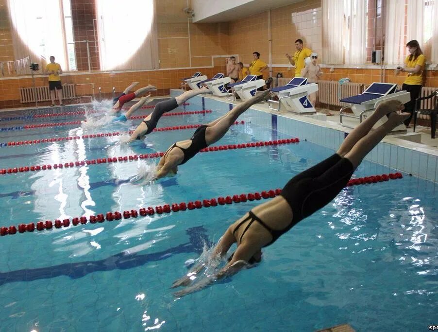 Бассейн Парус Сердобск. Школа плавания. Спортивная школа по плаванию. Спортшкола плавание.