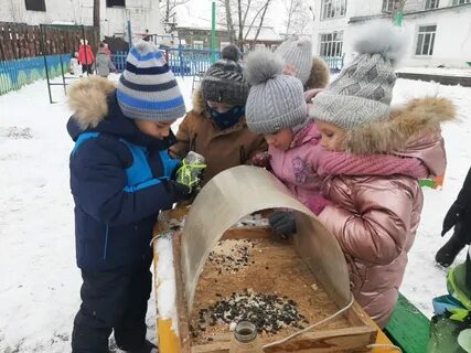 Зимние экологические проекты