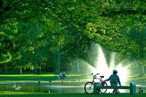 Use park