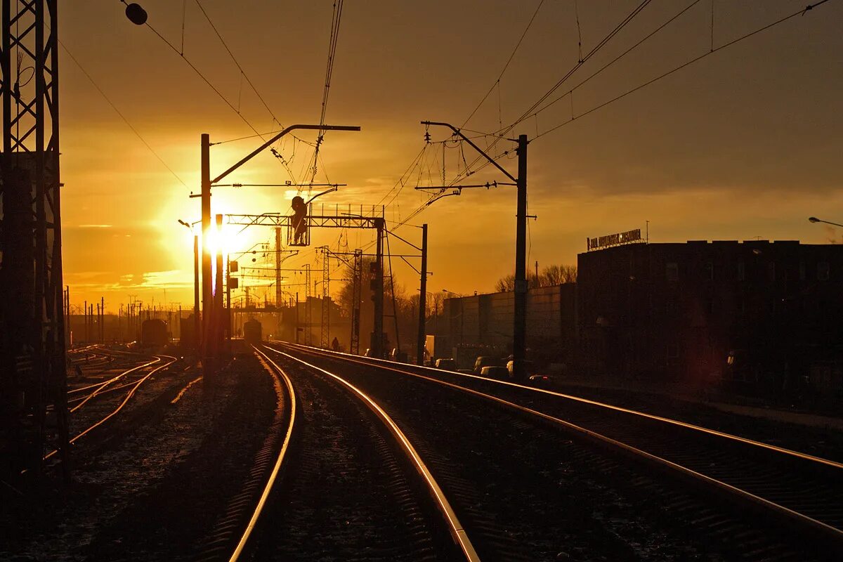 поезд сапсан москва санкт-петербург. жд санкт петербург пятигорск. станция свирь эс1 026 санкт-петербург ласточка.