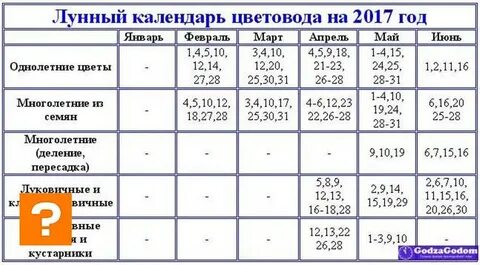 Благоприятные дни в октябре для посадки тюльпанов