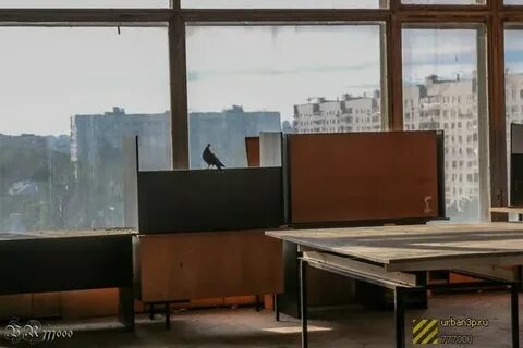 Зеленоград 2 территория