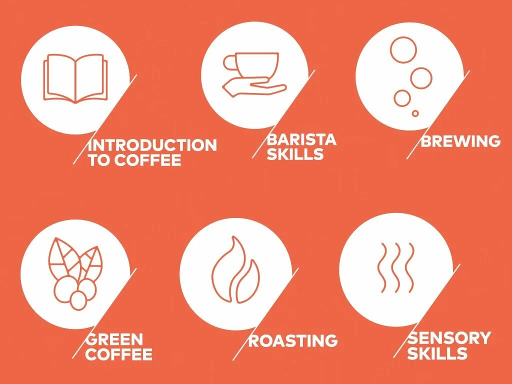 Что такое specialty coffee
