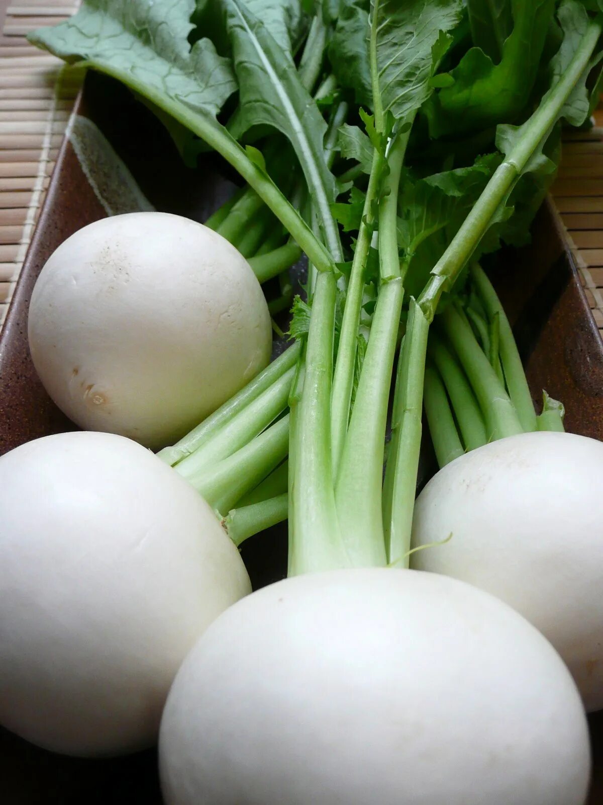 у дайкона и турнепса корнеплоды. у дайкона и турнепса корнеплоды.