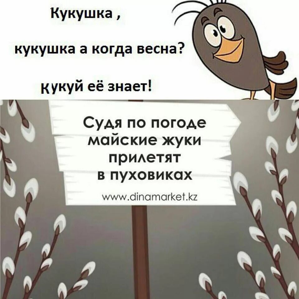 Ты кукуй кукушка все равно. Высказывания про весну прикольные. Анекдоты про весну. Приколы про вес. Цитаты про весну с юмором.