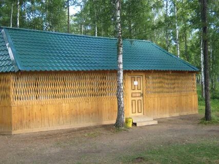 Бумеранг дикое