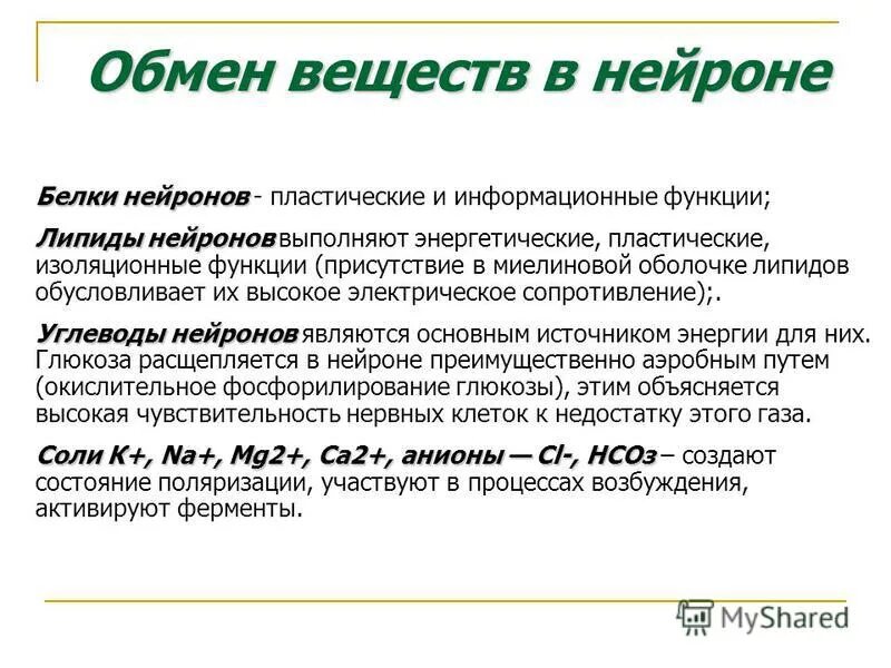 Изолированные функции. Метаболизм нейронов. Белки нейронов. Продукты метаболизма нейронов. Белок нервных клеток.