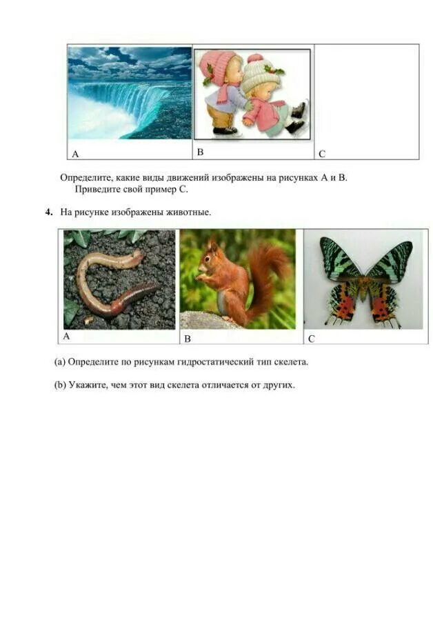 Естествознание 5 класс сор 1. Сор по естествознанию 5 класс. задания по естествознанию с ответами. соч по естествознанию 5 класс за 3 четверть. сор по естествознанию 3 класс 2 четверть.