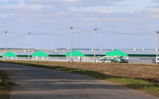 октябрьское мордовия. агрофирма октябрьская коммунар. октябрьский (ардатовский район). агрофирма октябрьская коммунар. агрофирма октябрьская коммунар.