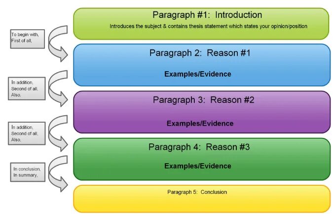 Reason paragraph. Paragraph structure. Paragraph structure пример. Paragraph in English structure. How to write an essay examples.