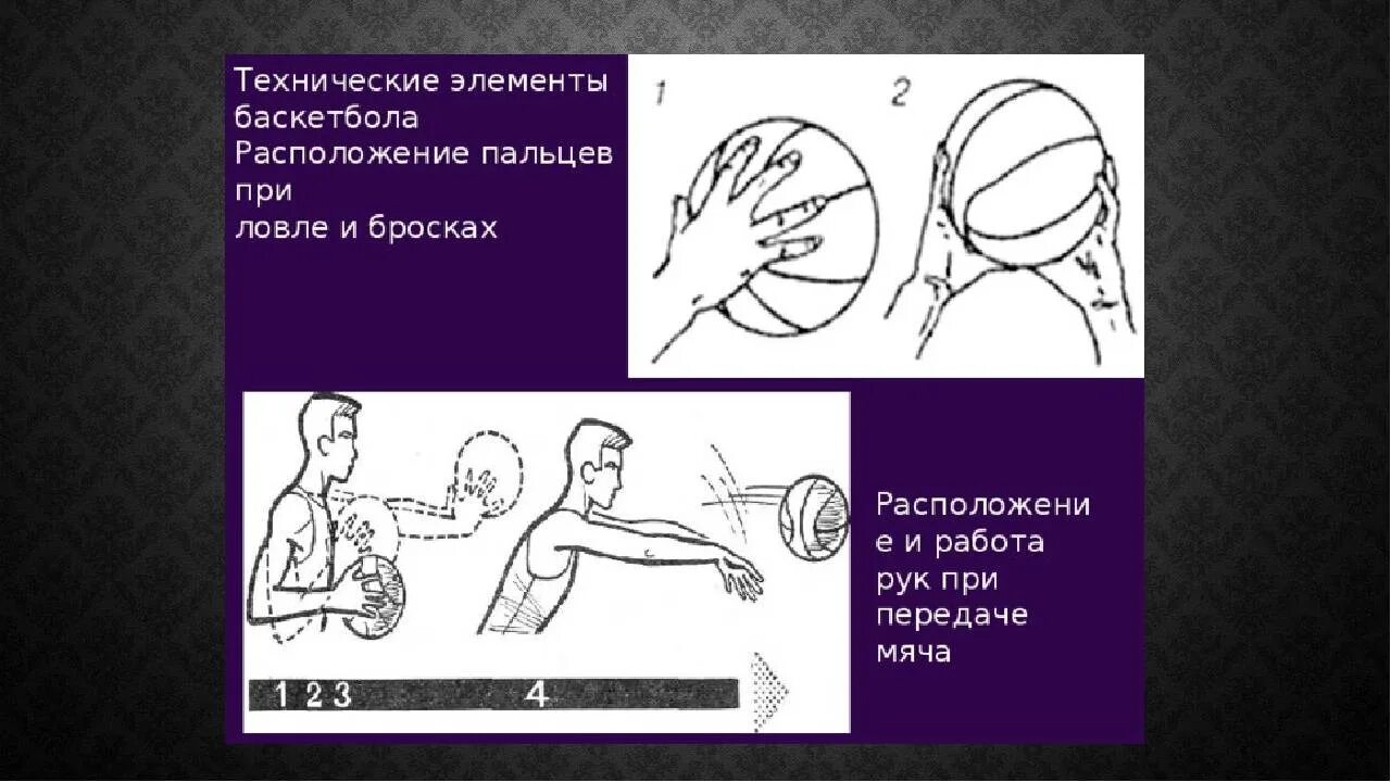 Баскетбол техническая. Технические элементы в баскетболе. Расположение пальцев при ловли броска в баскетболе. Расположение рук на мяче в баскетболе. Технические приемы в баскетболе.