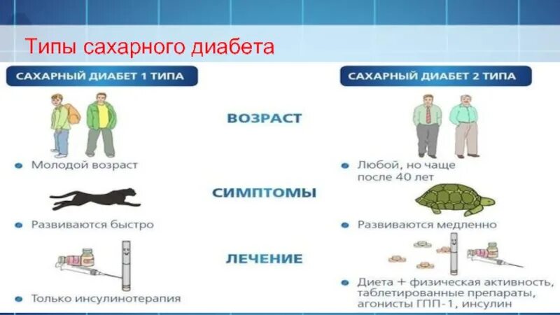 Различия сахарного диабета 1 и 2. Сахарный диабет 2 типа разновидности. Таблица сахарного диабета 1 типа. Сахарный диабет 1 и 2 типа различия. Сахарный диабет 4 типа.