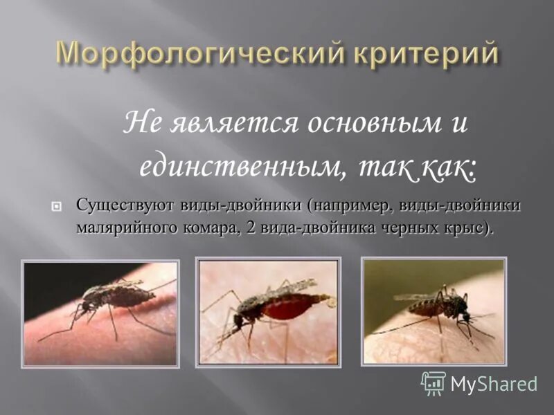 б. постоянная авогадро. считал что виды и их количество неизменны. считал что виды и их количество неизменны. карл линней вклад в развитие эволюционных идей.