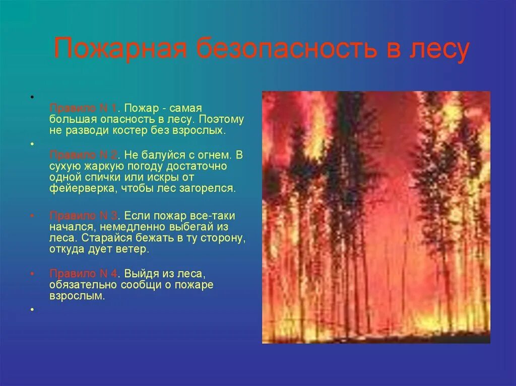 Пожарная безопасность в лесу. Безопасность лесных пожаров. Пожарная безопасность пожар в лесу. Противопожарная безопасность леса.