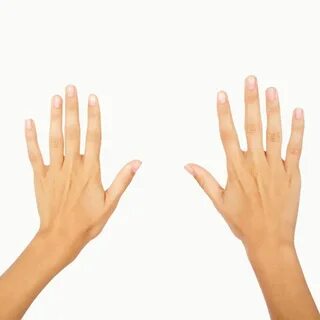 Hands high перевод