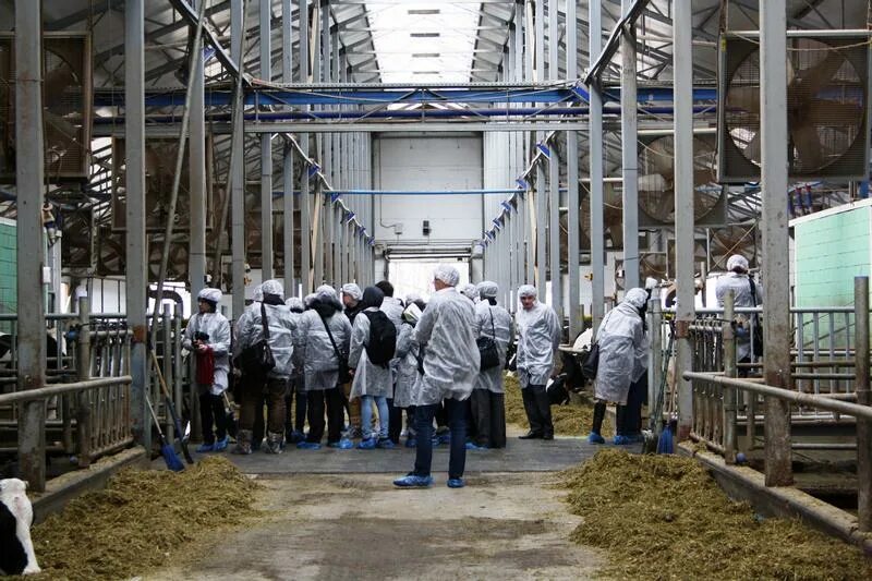 2. Агропром агро. Элеватор для зерна. Агропром агро. Культиватор ксо-4.