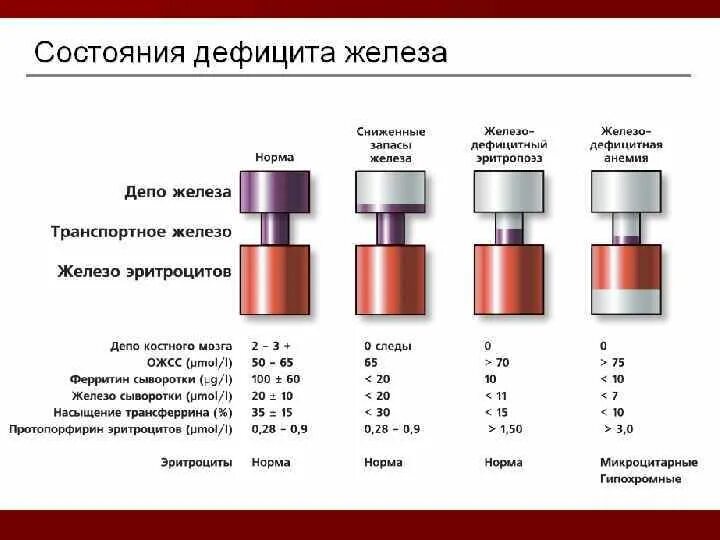 Лжсс что за анализ