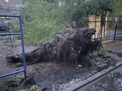 В петербурге был ураган