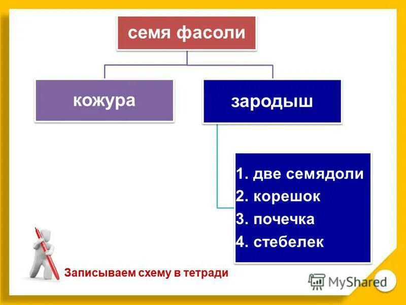 запишите схему в тетрадь
