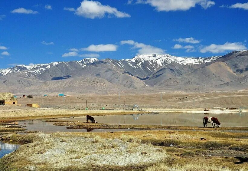 Kosh-Agach travel photo Brodyaga.com image gallery: Russia Altay Republic