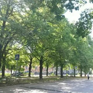 Бульвар кутузова