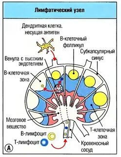 Узлы 2023