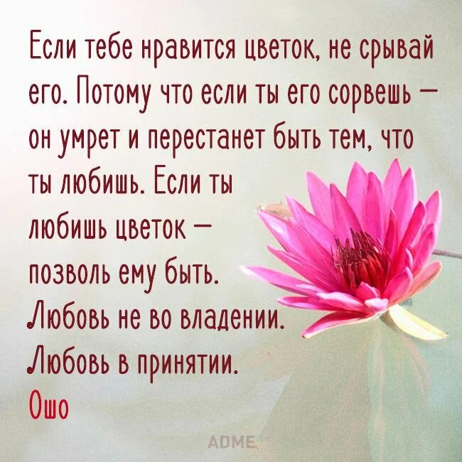 цветочки из жизни. мемы дарят цветочки. не люблю цветы. юмор о цветах. любовь надо поливать.