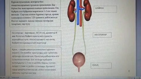 Порно сұлулық құмарлық секс