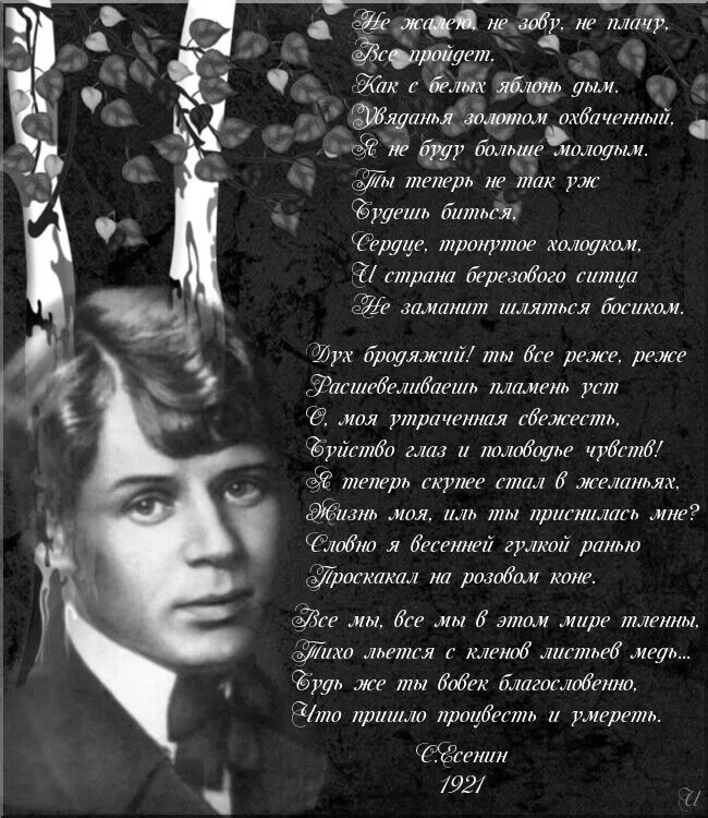 Есенин стихи о любви слушать. Сергей есенин стихи. стихи есенина. сергей есенин &quot;стихотворения&quot;. есенин стихи лучшие.