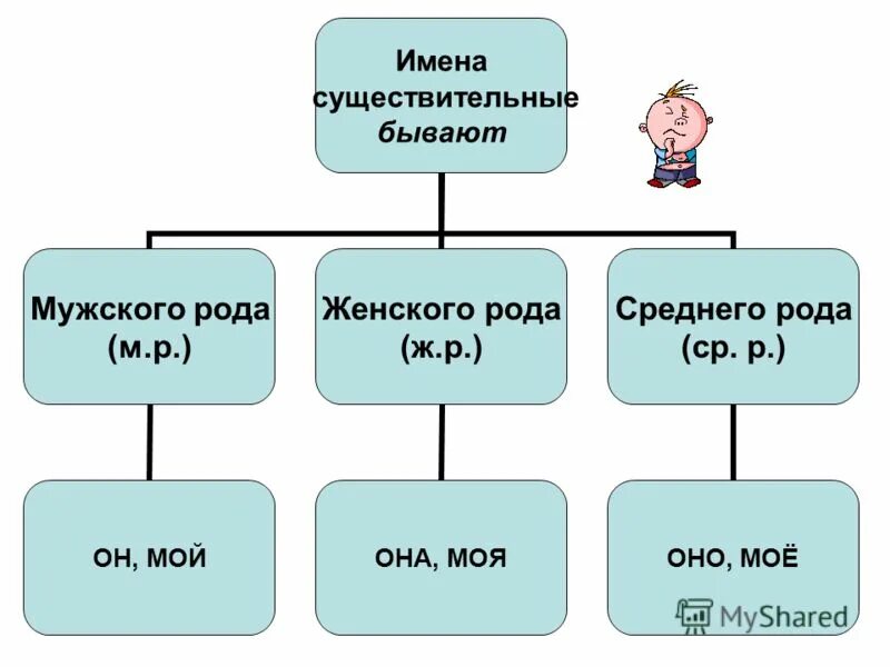 Русский язык существительное бывают. Имя существительное среднего рода. Наглядность род имен существительных.