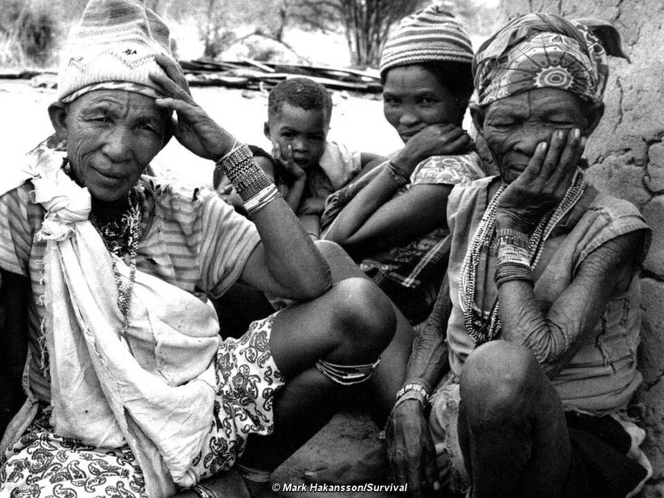 Готтентоты народ Африки. Готтентоты племя Африки. Племя готтентоты 19 век. Бушмены Африки 19 века.