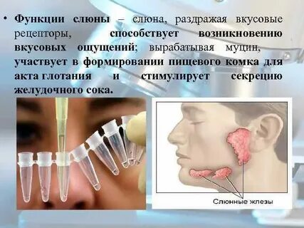 Муцин в слюне