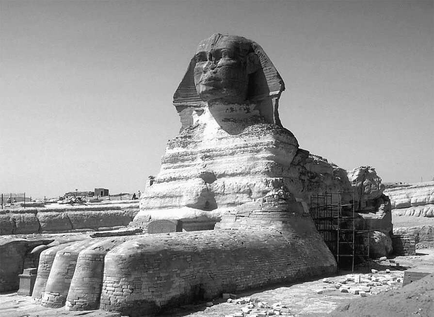 Сфинкс древнего египта. Великий сфинкс гизы. Сфинкс египет. Каменный сфинкс. Каир пирамиды сфинкс.