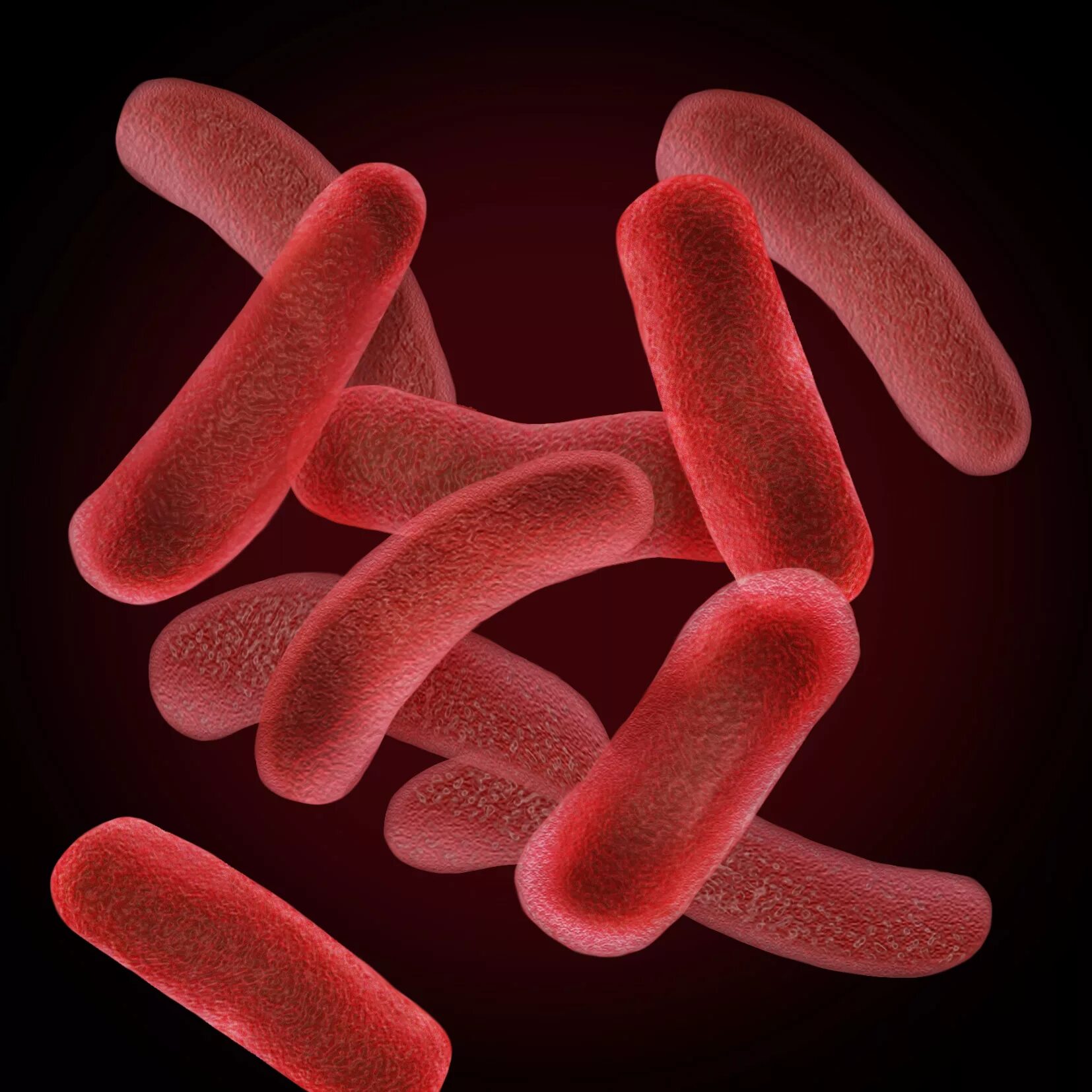 Легионелла. Возбудитель легионеллы. Легионелла возбудитель пневмонии. Возбудитель легионеллеза микробиология. Возбудитель легионеллы.