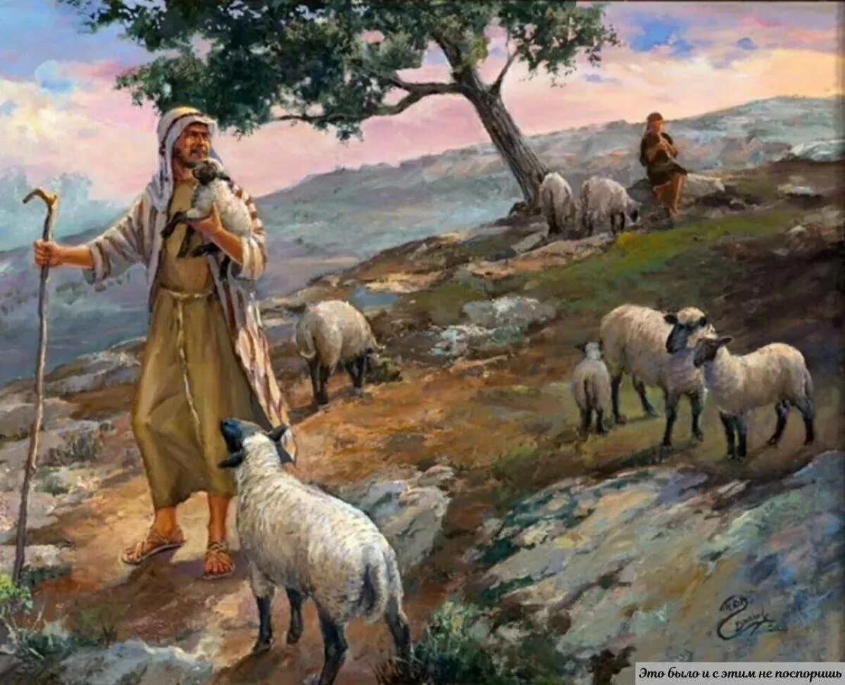 Он закричал пастухам чтобы они скорее гнали. Пастухи в древней Палестине.