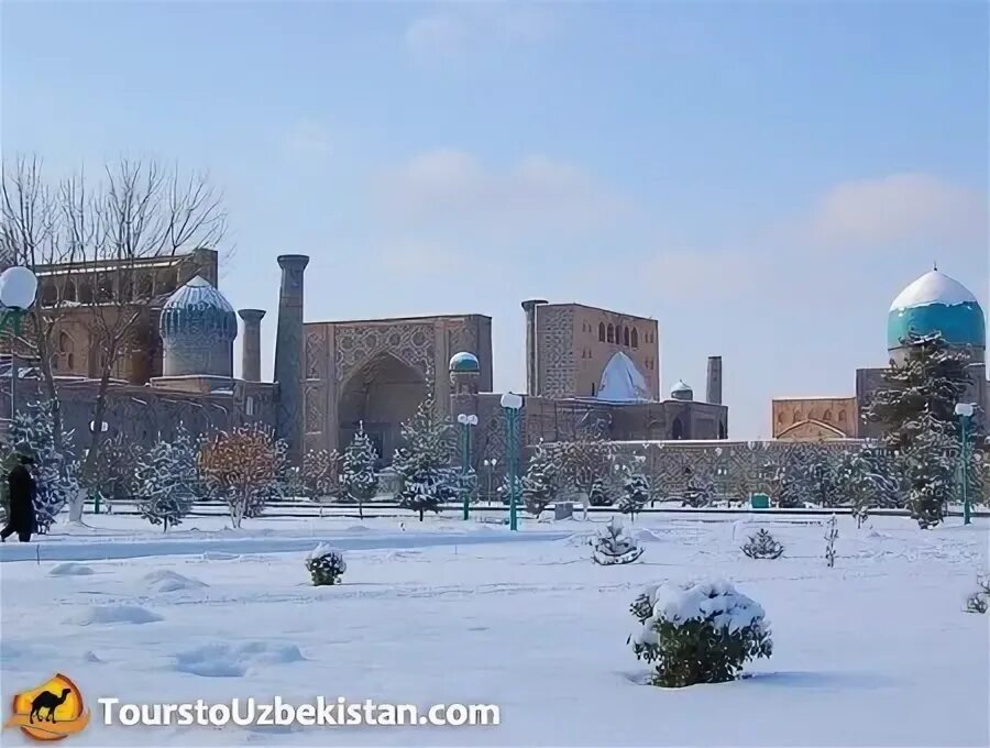 Ташкент январь. Снежный Самарканд. Узбекистан город Самарканд зима. Узбекистан Самарканд зимой. Зима в Самарканде.