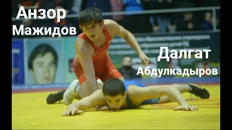 Анзор борьба