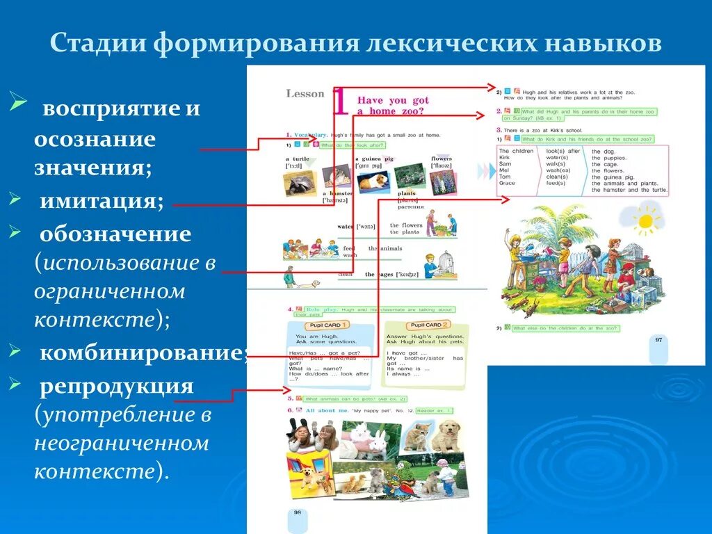 Стадии формирования лексического навыка. Этапы формирования лексических навыков. Формирование лексических навыков на уроках иностранного языка. Упражнения для формирования лексических навыков. Этапы формирования лексического навыка