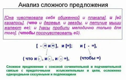 5 сложных предложений с разными видами