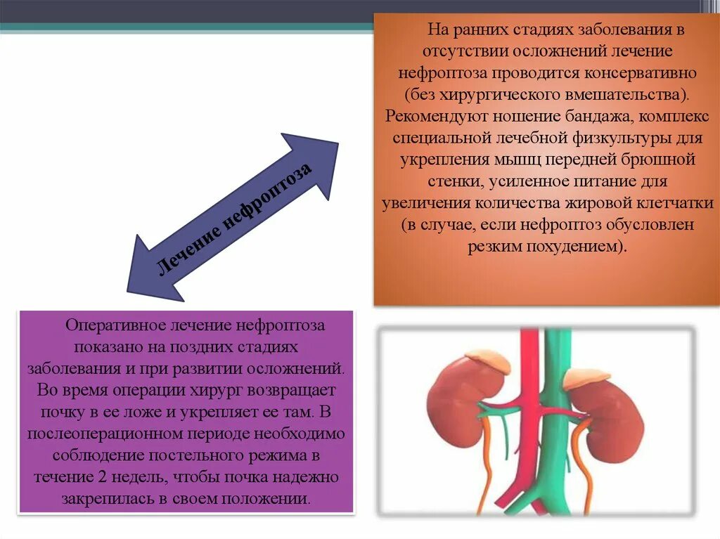 Заболевание почек нефроптоз. Нефроптоз презентация. Осложнения на почки после