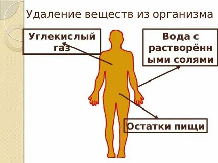 Как происходит удаление