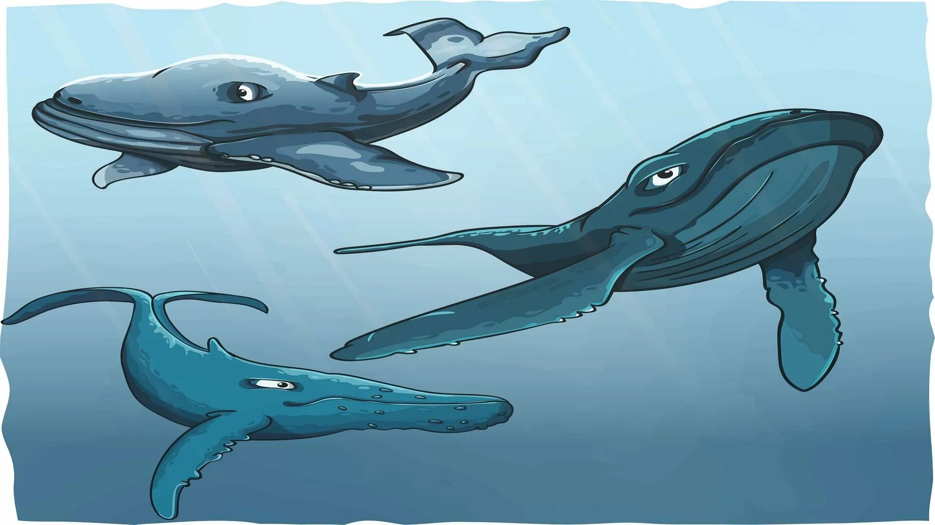 3 кита про кита. Три кита. Кит иллюстрация. Кит фото. Земля на китах.