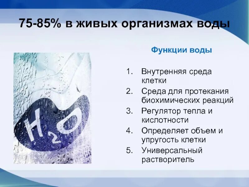 В живом организме вода выполняет функции. Функции воды в клетке. функции воды в клетке и организме. функции воды в живых организмах. функции воды в живых клетках.