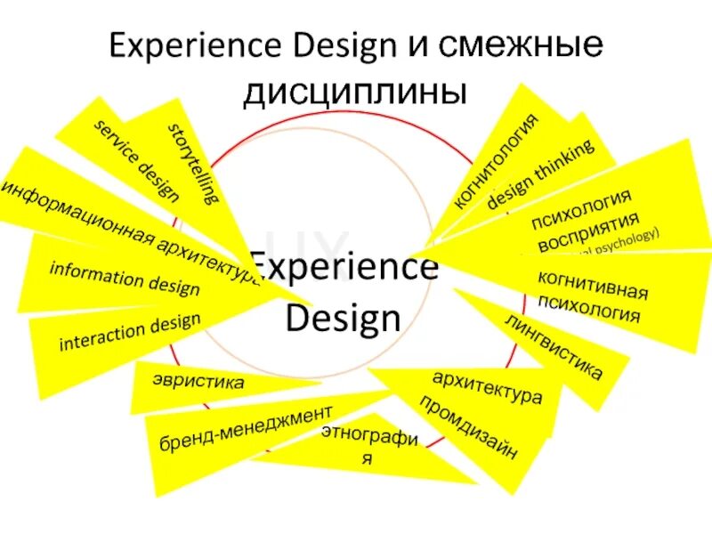 Дизайн дисциплины. Бренд менеджмент дисциплины. Смежные дисциплины. Experience Design. Experience Designer.