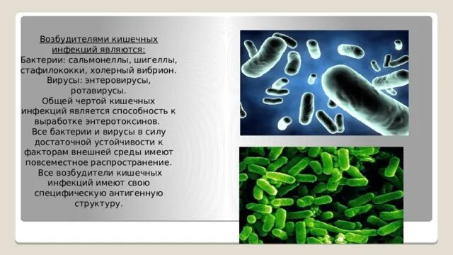 Возбудители кишечных инфекций в воде. Возбудители кишечных инфекций в воде