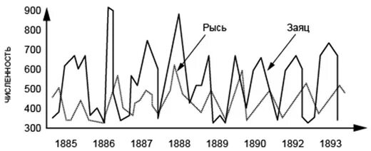 На графиках продемонстрированы изменения численности жертвы зайцев. График изменения численности Зайцев и рыси. График изменения численности популяции животных. Графики изменения численности популяций. График численности рысей и Зайцев.