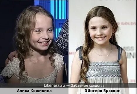 Алиса на кого похож