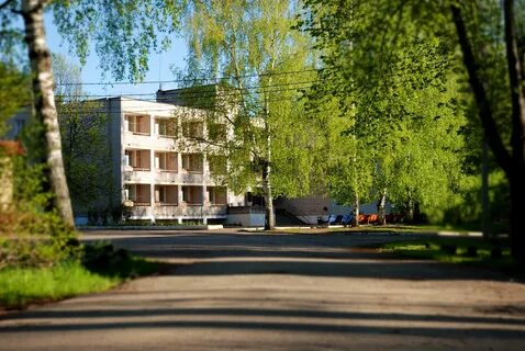 Чайка ивановская область